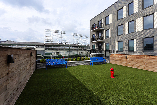 1025 West Addison Street, Unit 625 Chicago, IL 60613 - Photo 5 of 15 a view of a house with a back yard