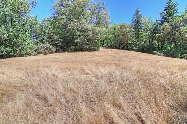 10527 Lower River Road Grants Pass, OR 97526 - Photo 21 of 31 Additional Photo