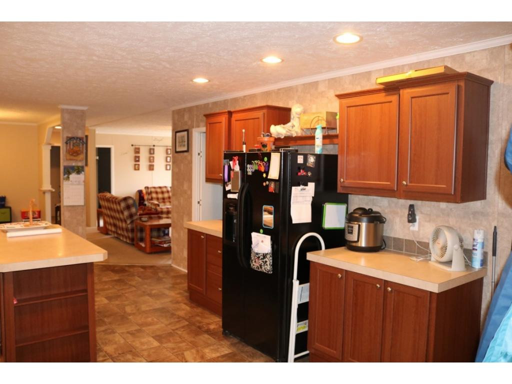 1190 Rock Quarry Road Afton, TN 37616 - Photo 5 of 28 kitchen