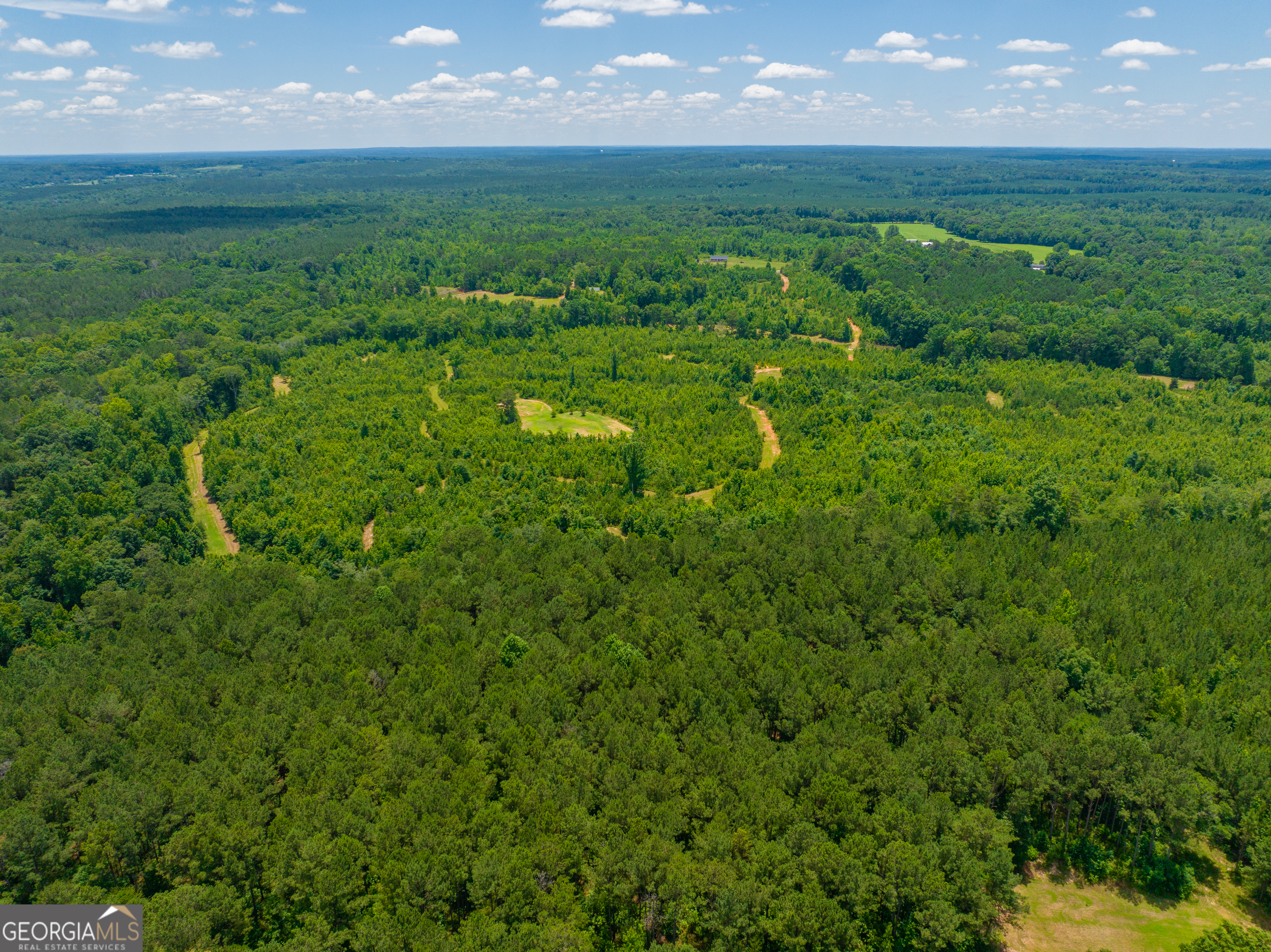 29.3-acres Cochran Road Madison, GA 30650 - Photo 5 of 11