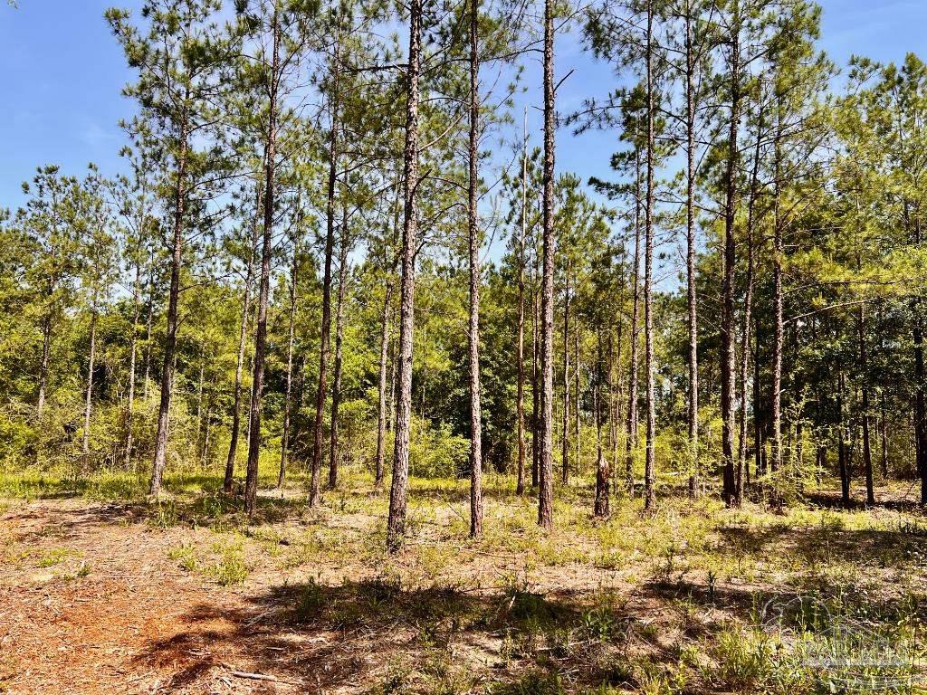 Lot 99 Turning Leaf Road Milton, FL 32571 - Photo 11 of 39