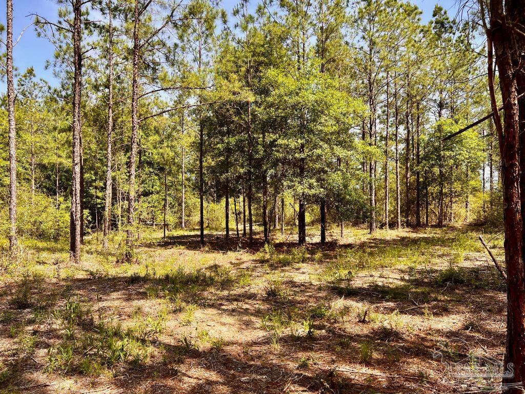 Lot 99 Turning Leaf Road Milton, FL 32571 - Photo 13 of 39
