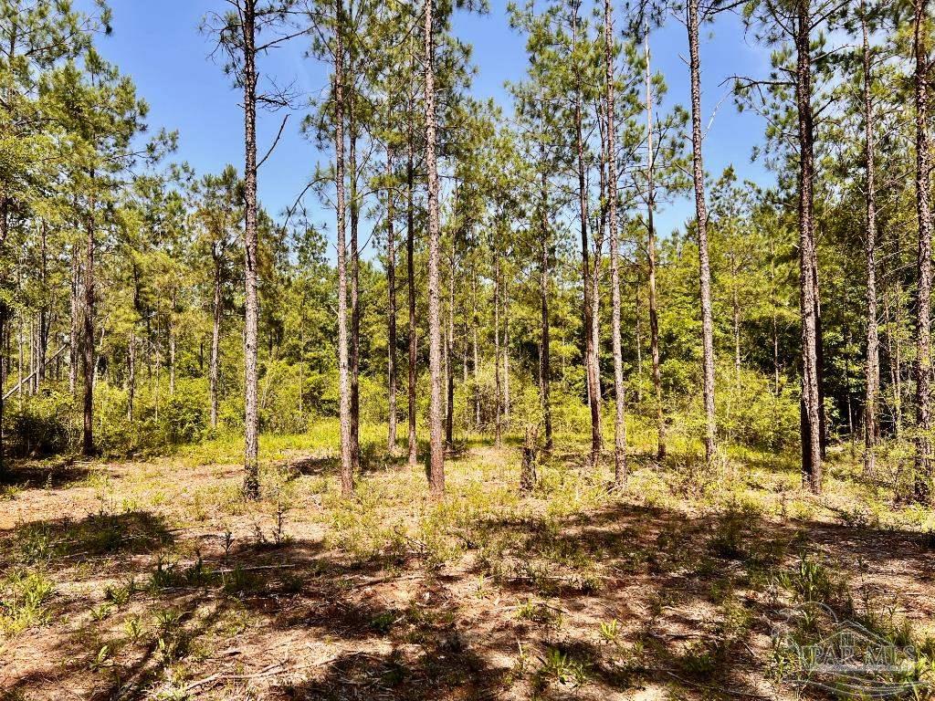 Lot 99 Turning Leaf Road Milton, FL 32571 - Photo 14 of 39