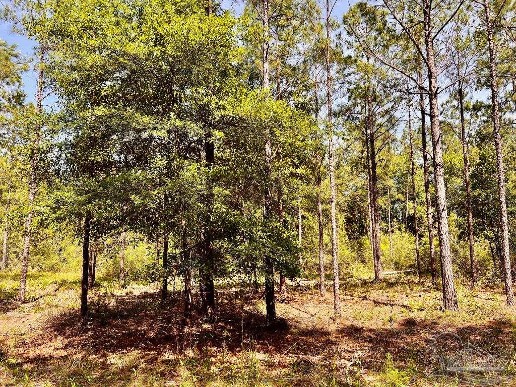Lot 99 Turning Leaf Road Milton, FL 32571 - Photo 15 of 39