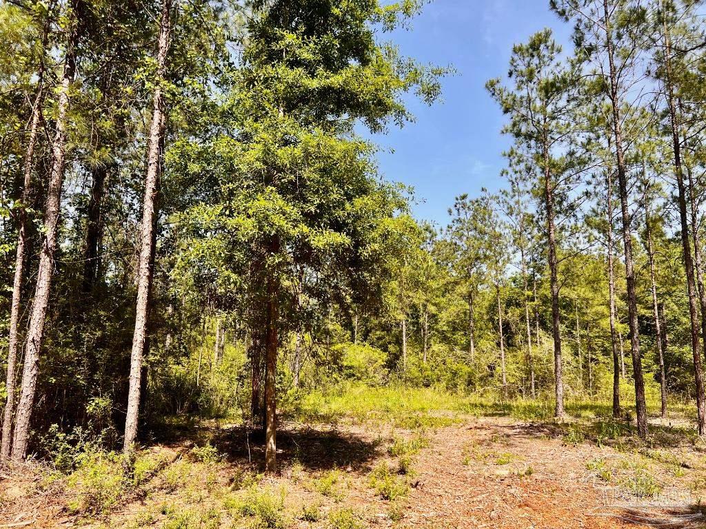 Lot 99 Turning Leaf Road Milton, FL 32571 - Photo 2 of 39