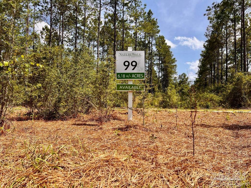 Lot 99 Turning Leaf Road Milton, FL 32571 - Photo 8 of 39