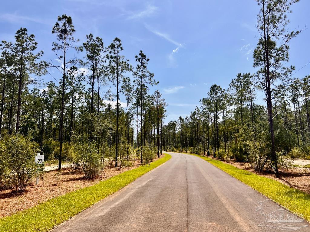 Lot 99 Turning Leaf Road Milton, FL 32571 - Photo 9 of 39