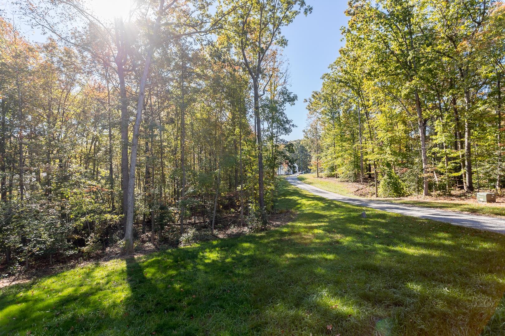3768 Boundary Run Road Gum Spring, VA 23065 - Photo 5 of 46 a view of yard