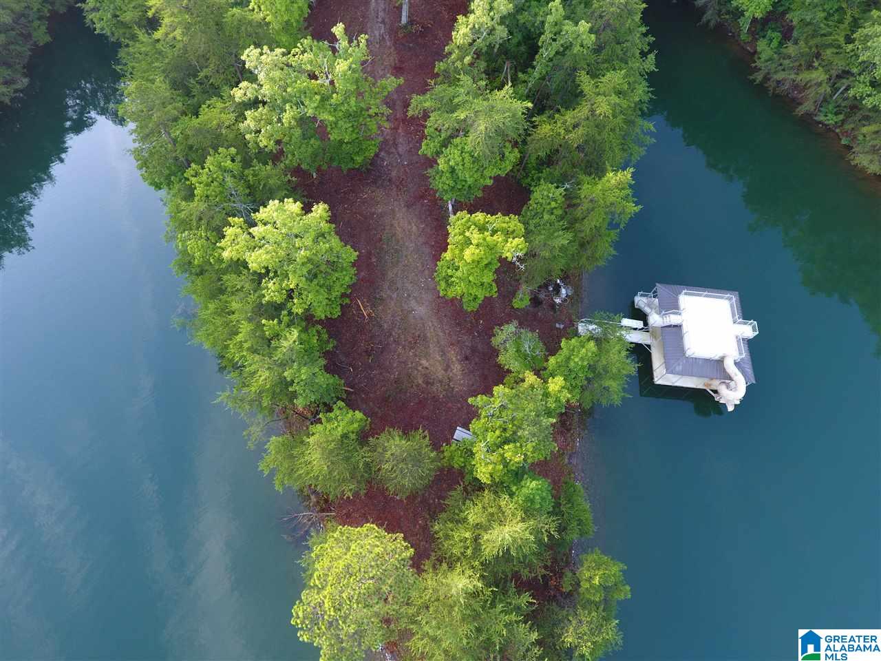 Lot 18 Emerald Point, Unit 18 Wedowee, AL 36278 - Photo 1 of 10