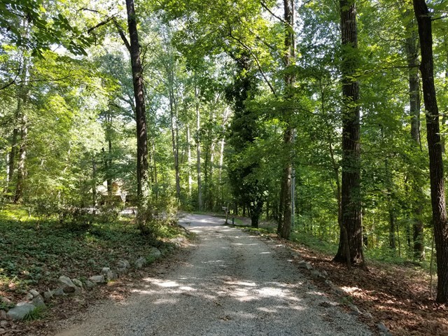 265 Bolingview Road Juliette, GA 31046 - Photo 21 of 21 a view of a forest with trees in the background