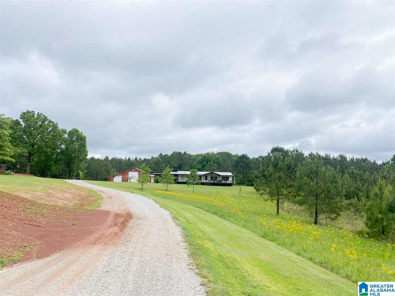 1735 Nature Trail Jacksonville, AL 36265 - Photo 4 of 22