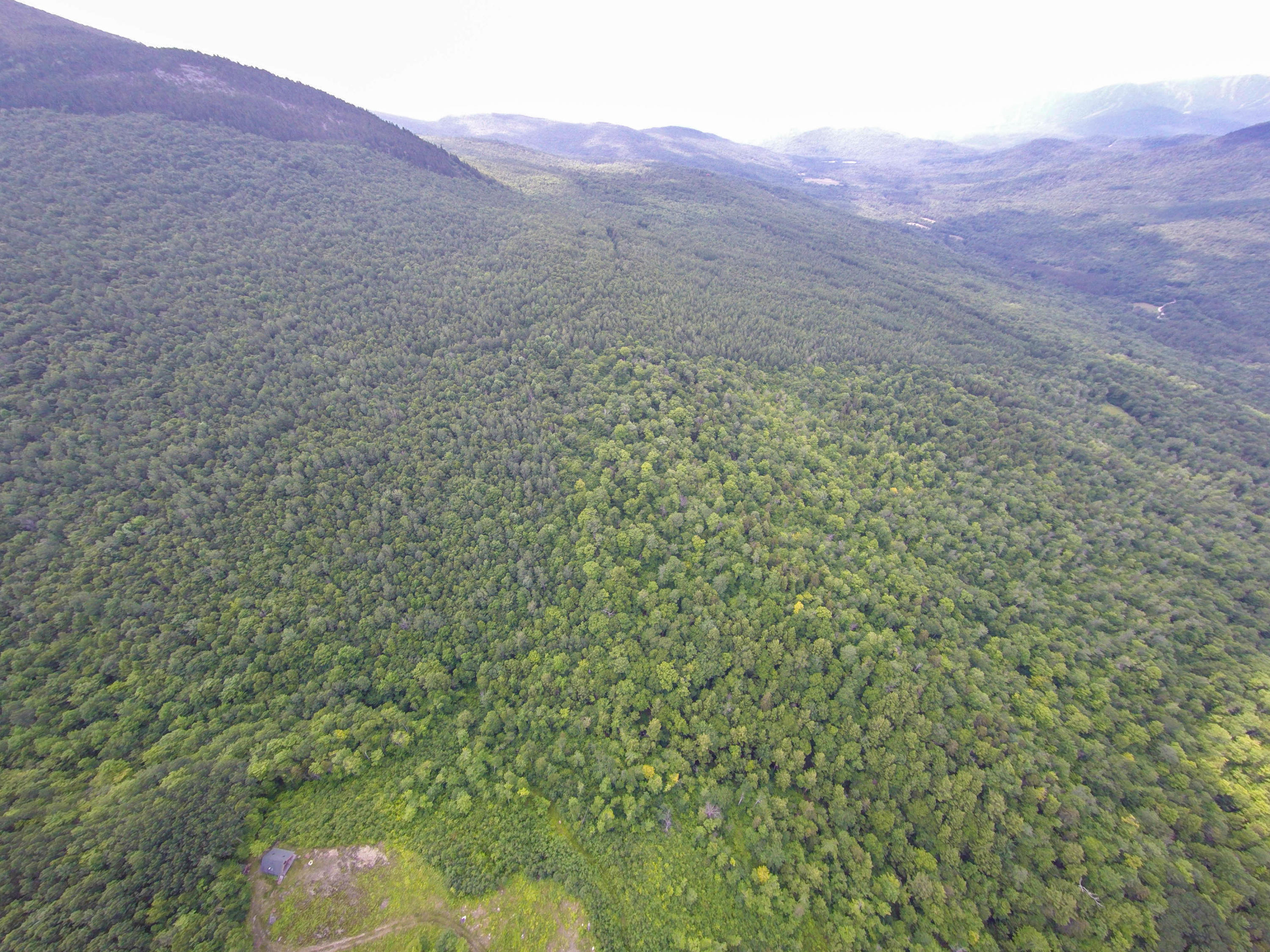 Lot 1 Puzzle Mountain Road Newry, ME 04261 - Photo 22 of 25 Bob Stewart Land-6