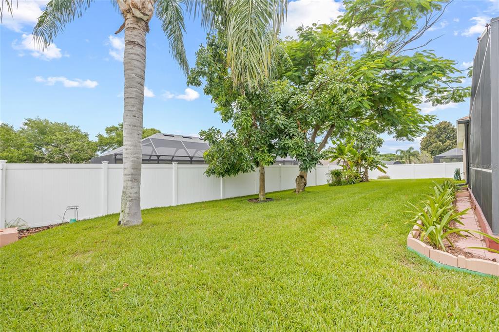144 Costa Loop Auburndale, FL 33823 - Photo 29 of 34 a backyard of a house with plants and large trees