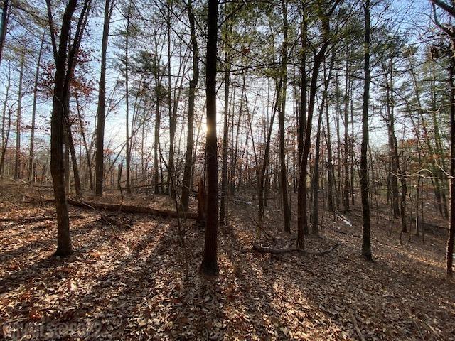 Tbd Flatwoods Road Elliston, VA 24087 - Photo 12 of 13 Gallery Image 12