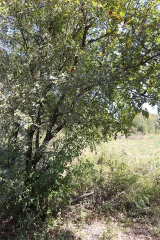 $175,000 | Tbd Lot 1 County Road 2005, Bonham, TX 75418