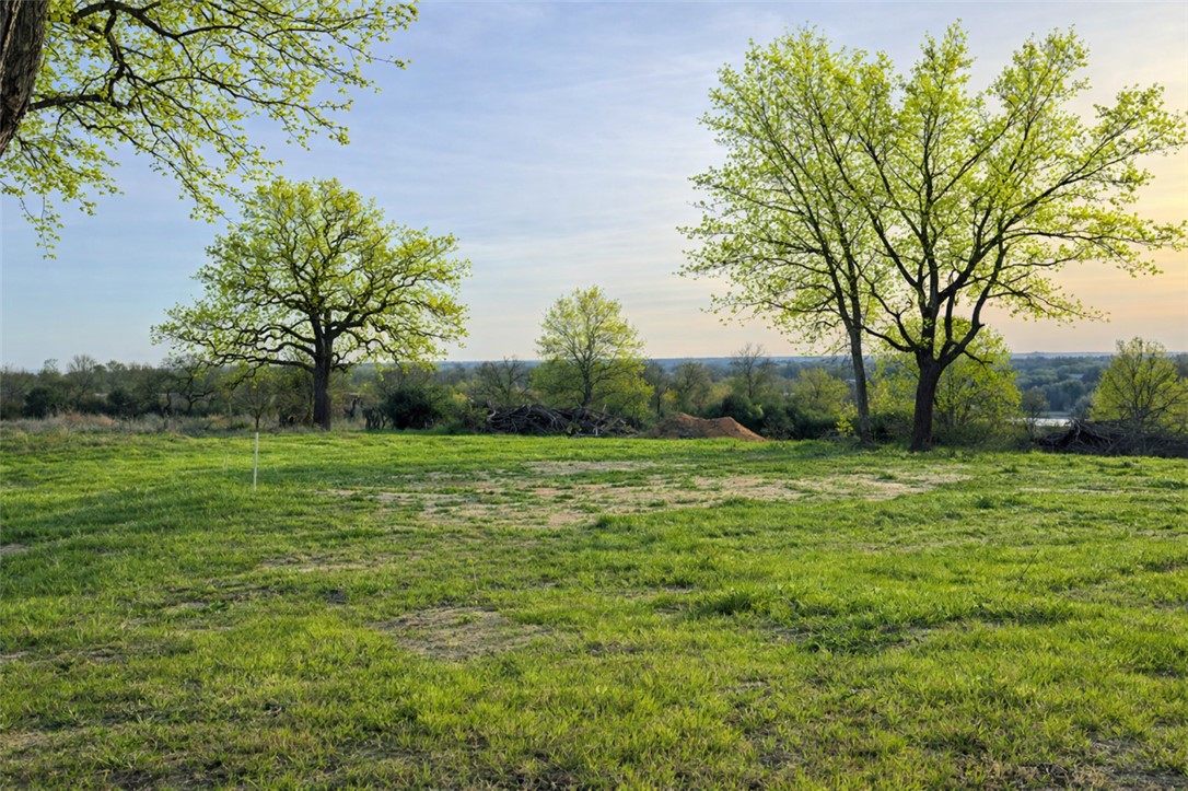 3917 Harbor Bolton Road Franklin, TX 77856 - Photo 23 of 26 a big yard with lots of green space and trees