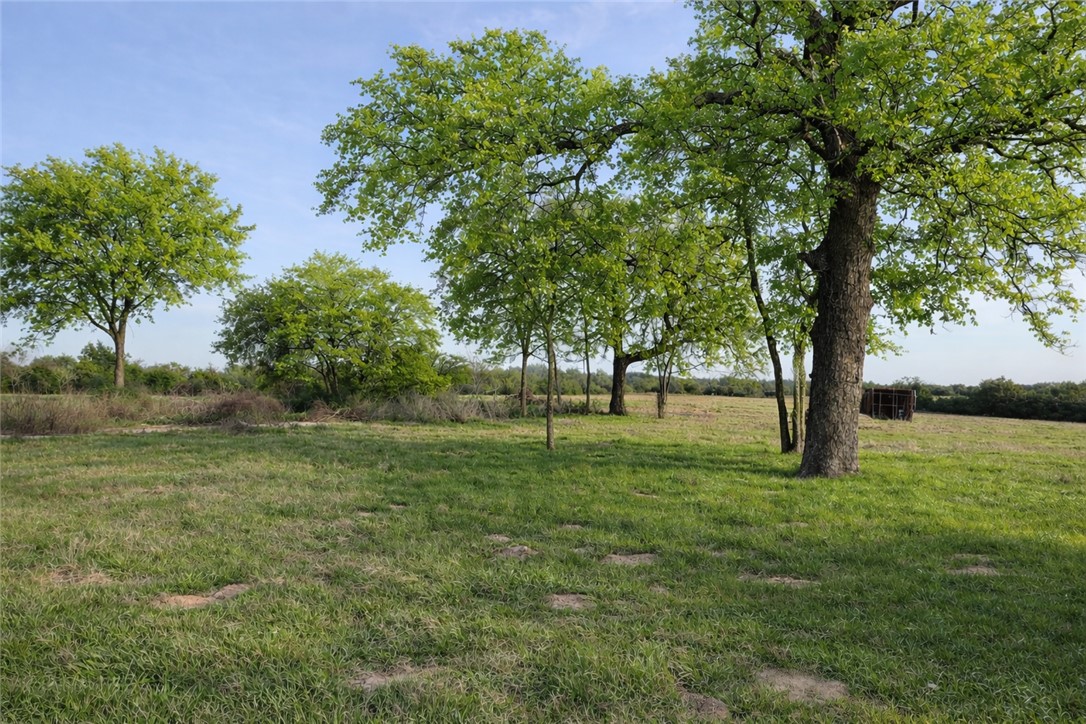 3917 Harbor Bolton Road Franklin, TX 77856 - Photo 24 of 26 a view of outdoor space with green field and trees