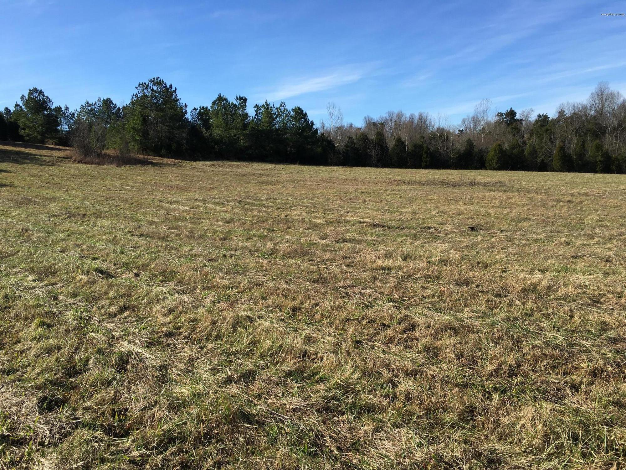 13-a Rabbit Flat Road Caneyville, KY 42721 - Photo 2 of 8 open area