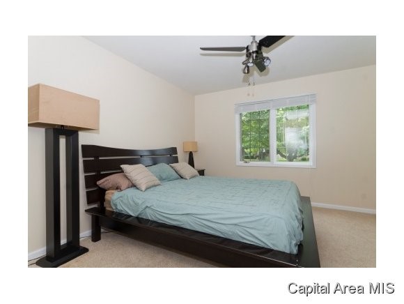 4009 Eagle Wing Road Springfield, IL 62711 - Photo 14 of 21
