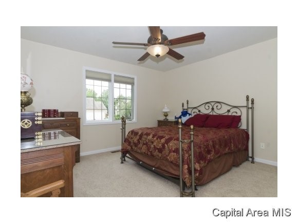 4009 Eagle Wing Road Springfield, IL 62711 - Photo 15 of 21