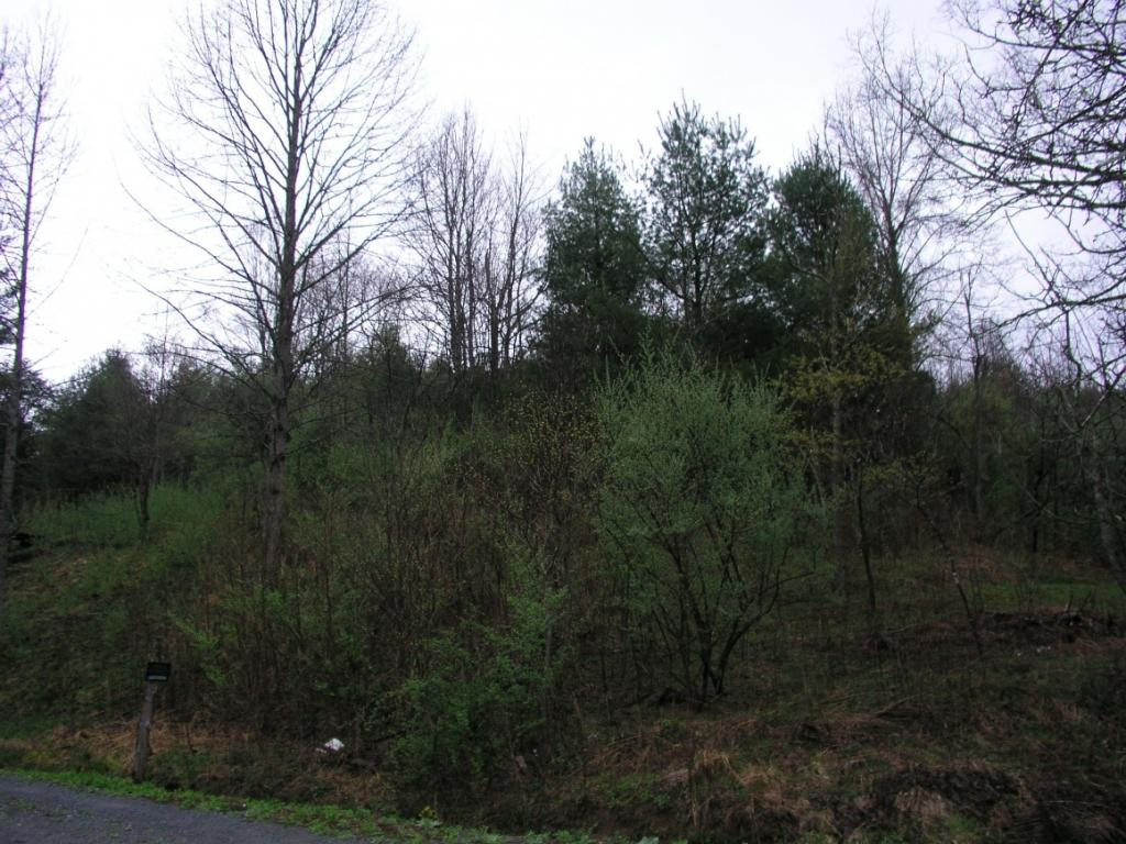 Tbd Fairview Road Hampton, TN 37658 - Photo 2 of 9 Photo 2
