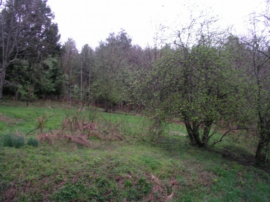 Tbd Fairview Road Hampton, TN 37658 - Photo 3 of 9 Photo 3