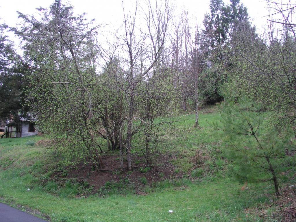Tbd Fairview Road Hampton, TN 37658 - Photo 4 of 9 Photo 4