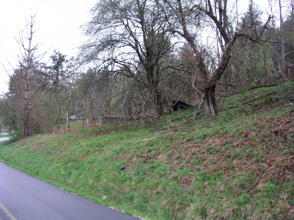 Tbd Fairview Road Hampton, TN 37658 - Photo 6 of 9 Photo 6