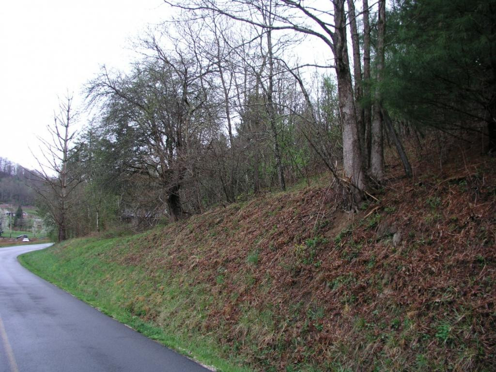 Tbd Fairview Road Hampton, TN 37658 - Photo 7 of 9 Photo 7