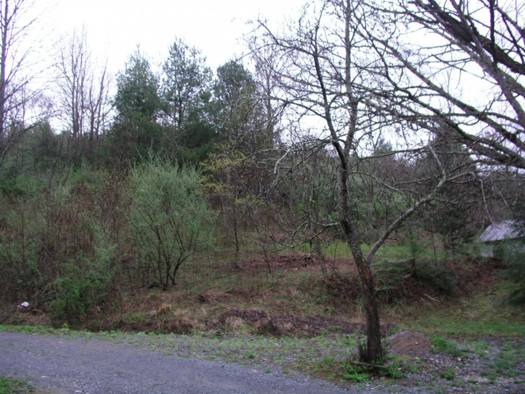 Tbd Fairview Road Hampton, TN 37658 - Photo 9 of 9 Photo 9