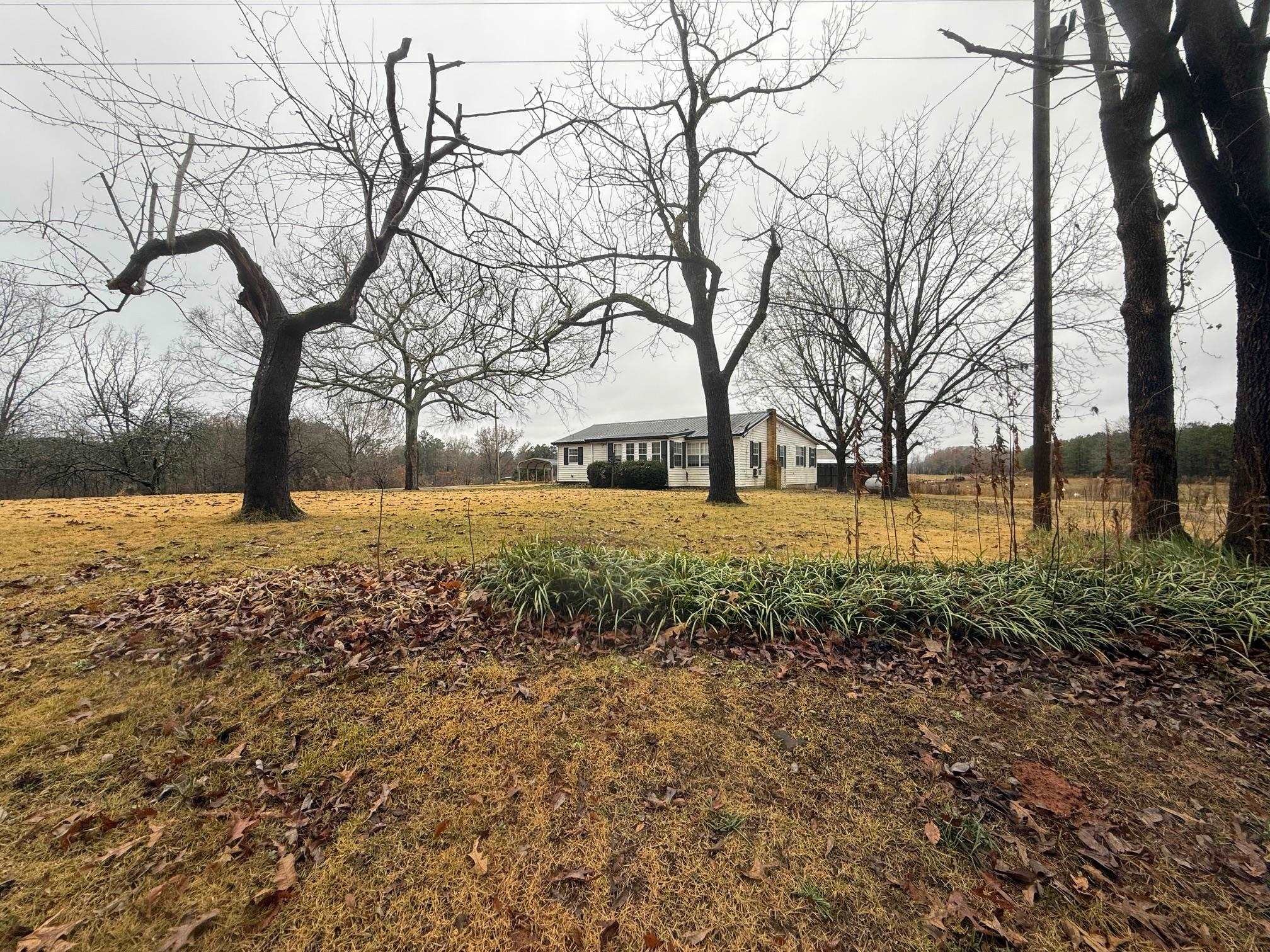 465 Hinkle Road South Sardis, TN 38371 - Photo 6 of 39 View of yard