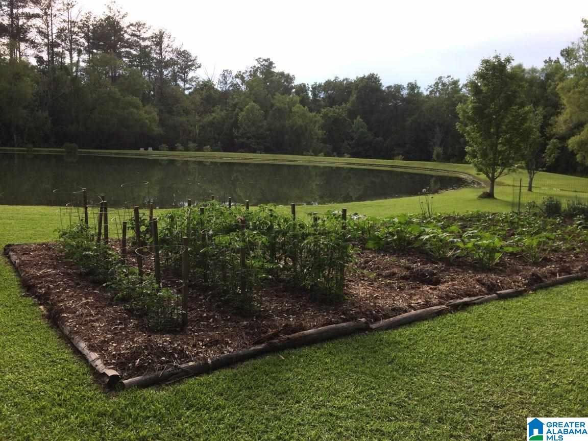 545 Lovejoy Road Ashville, AL 35953 - Photo 44 of 44