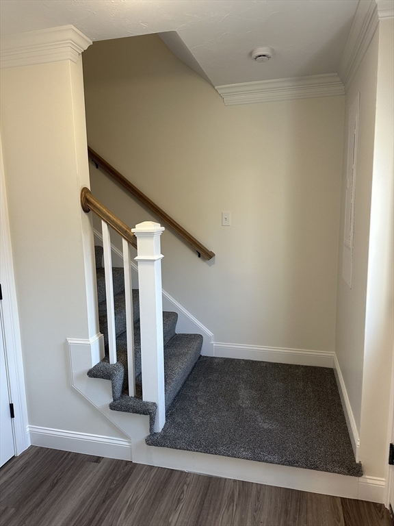 1 Lanigan Path Middleboro, MA 02346 - Photo 16 of 30