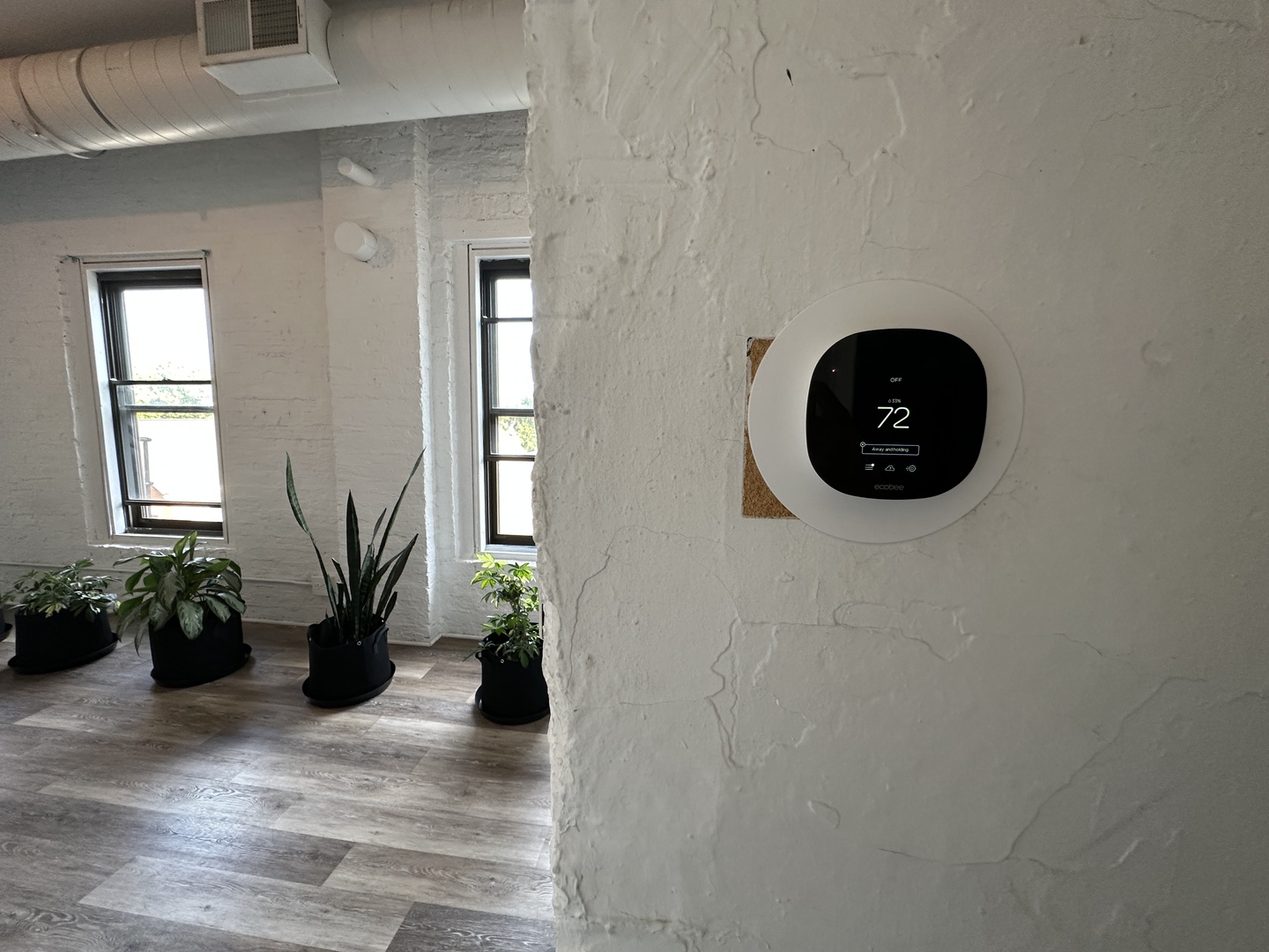 1237 North Noble Street, Unit 4 Chicago, IL 60642 - Photo 14 of 27 a view of a hallway with wooden floor and a potted plant