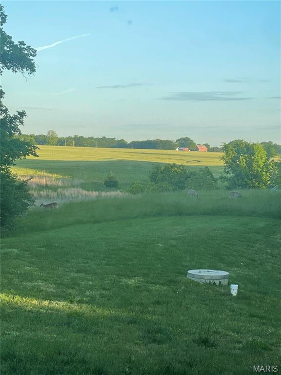 4037 Wetzler Road Fults, IL 62244 - Photo 68 of 68