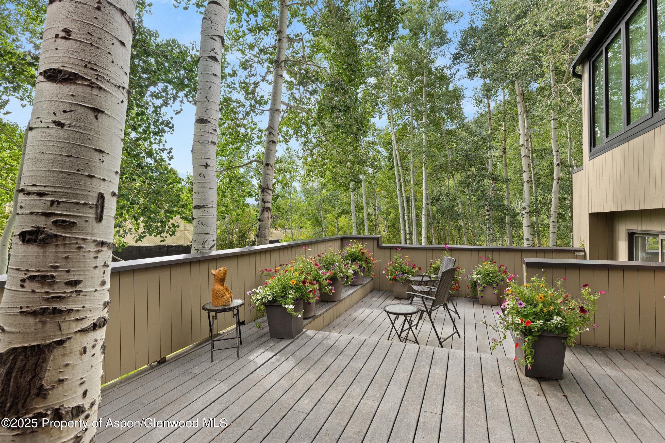 1443 Crystal Lake Road, Unit 3E Aspen, CO 81611 - Photo 27 of 34 a view of balcony with furniture and wooden floor