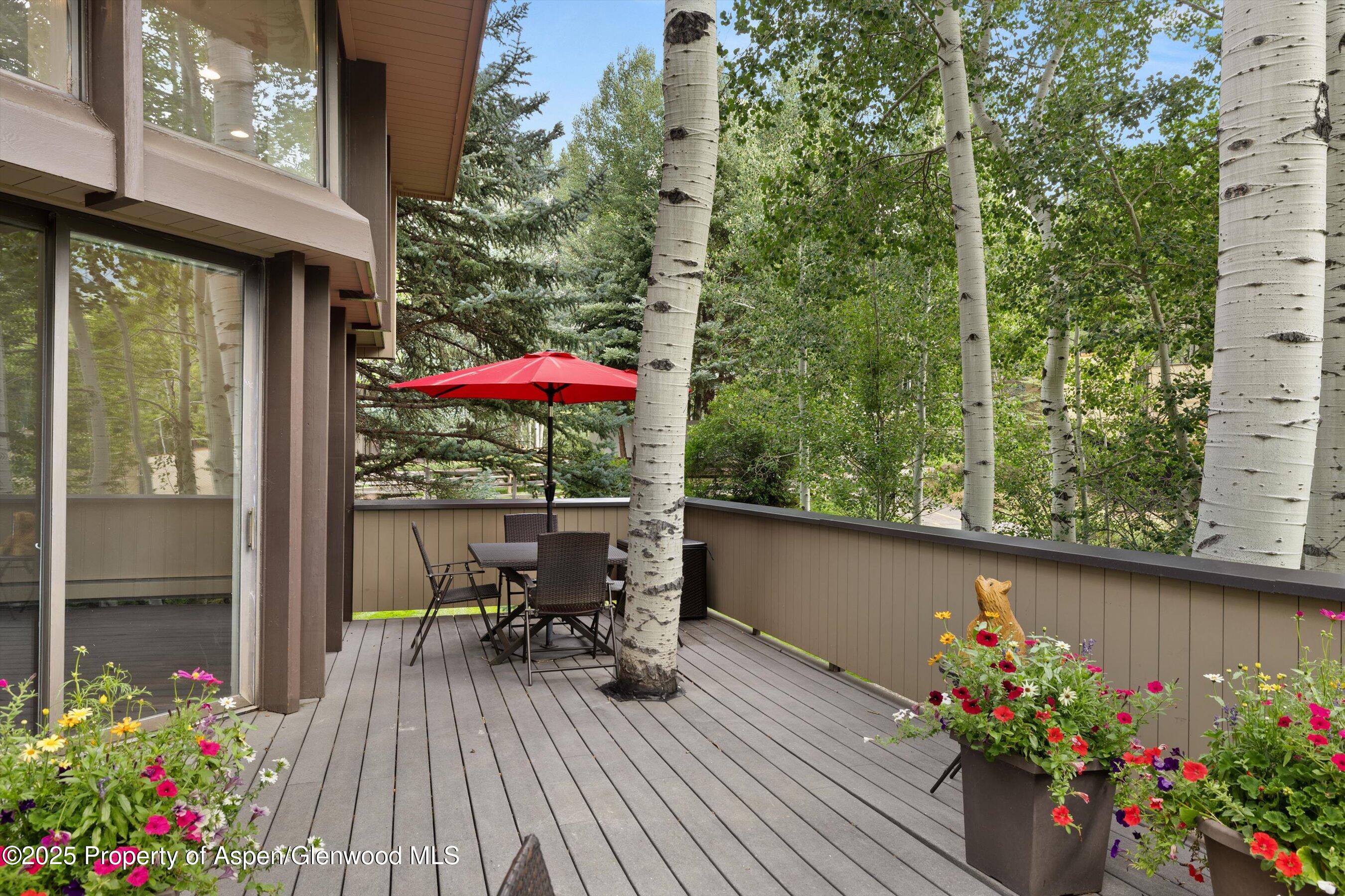 1443 Crystal Lake Road, Unit 3E Aspen, CO 81611 - Photo 28 of 34 an outdoor view with patio