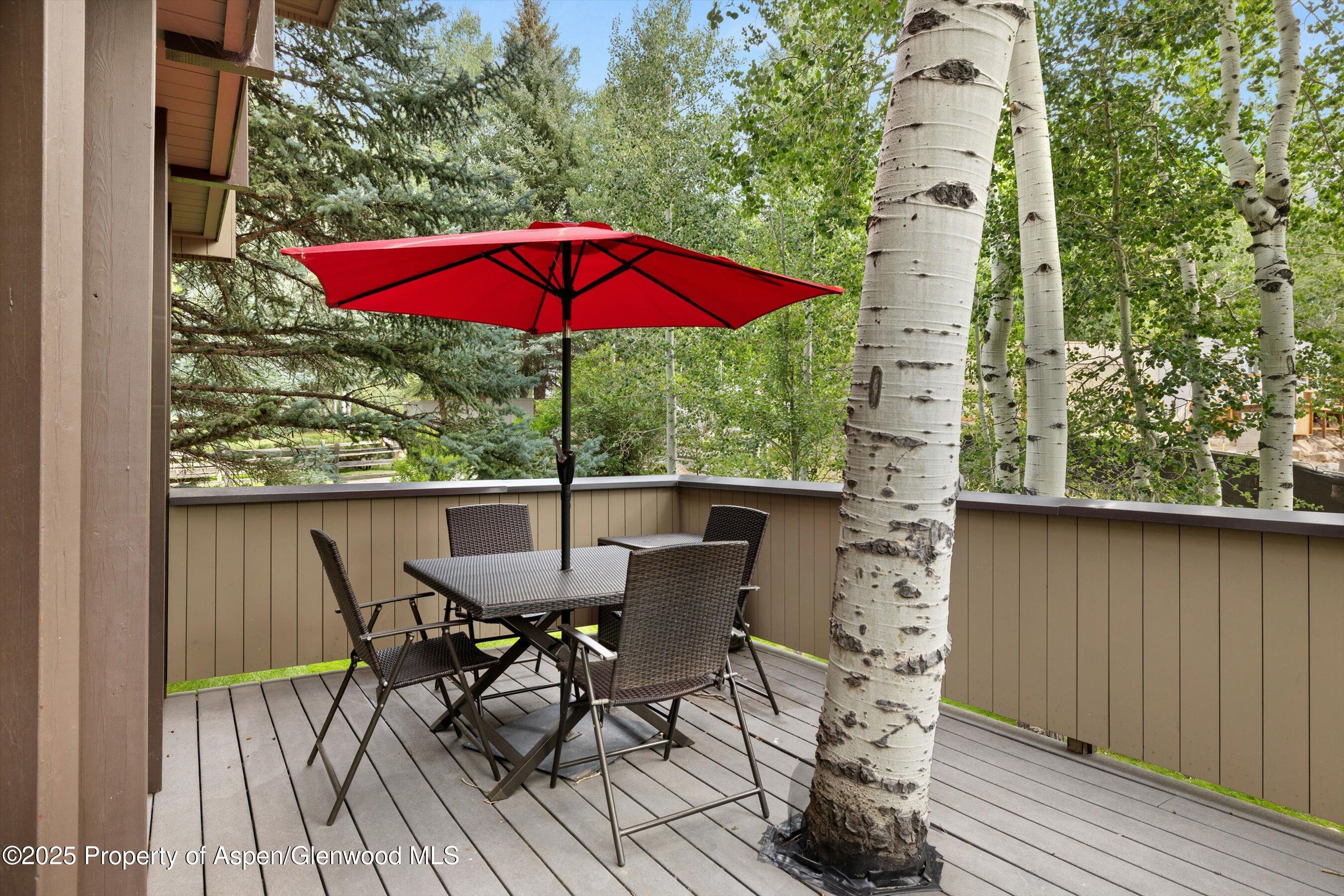 1443 Crystal Lake Road, Unit 3E Aspen, CO 81611 - Photo 29 of 34 an outdoor view of a balcony with furniture