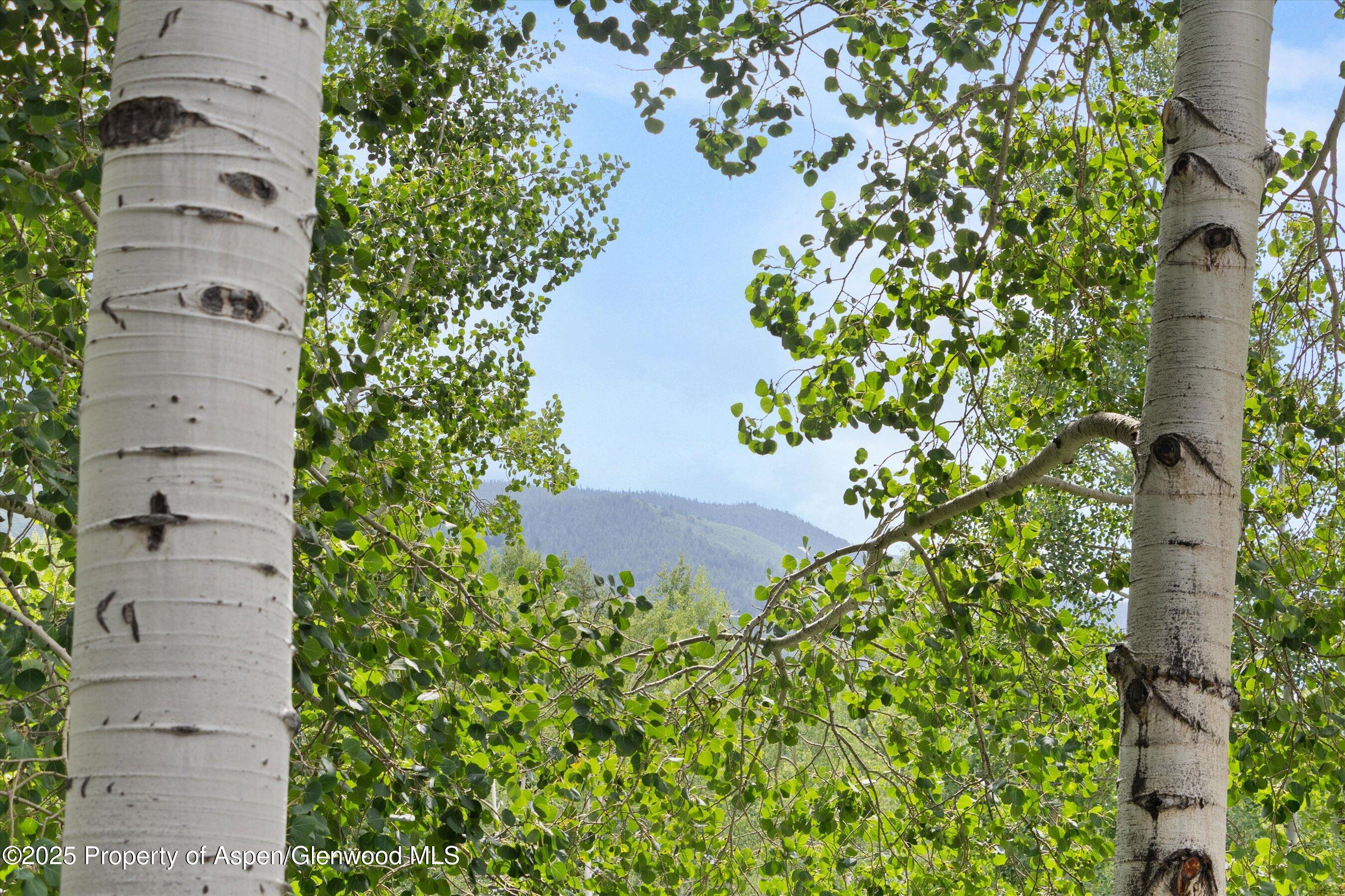 1443 Crystal Lake Road, Unit 3E Aspen, CO 81611 - Photo 30 of 34 an aerial view of residential house with outdoor space and trees all around