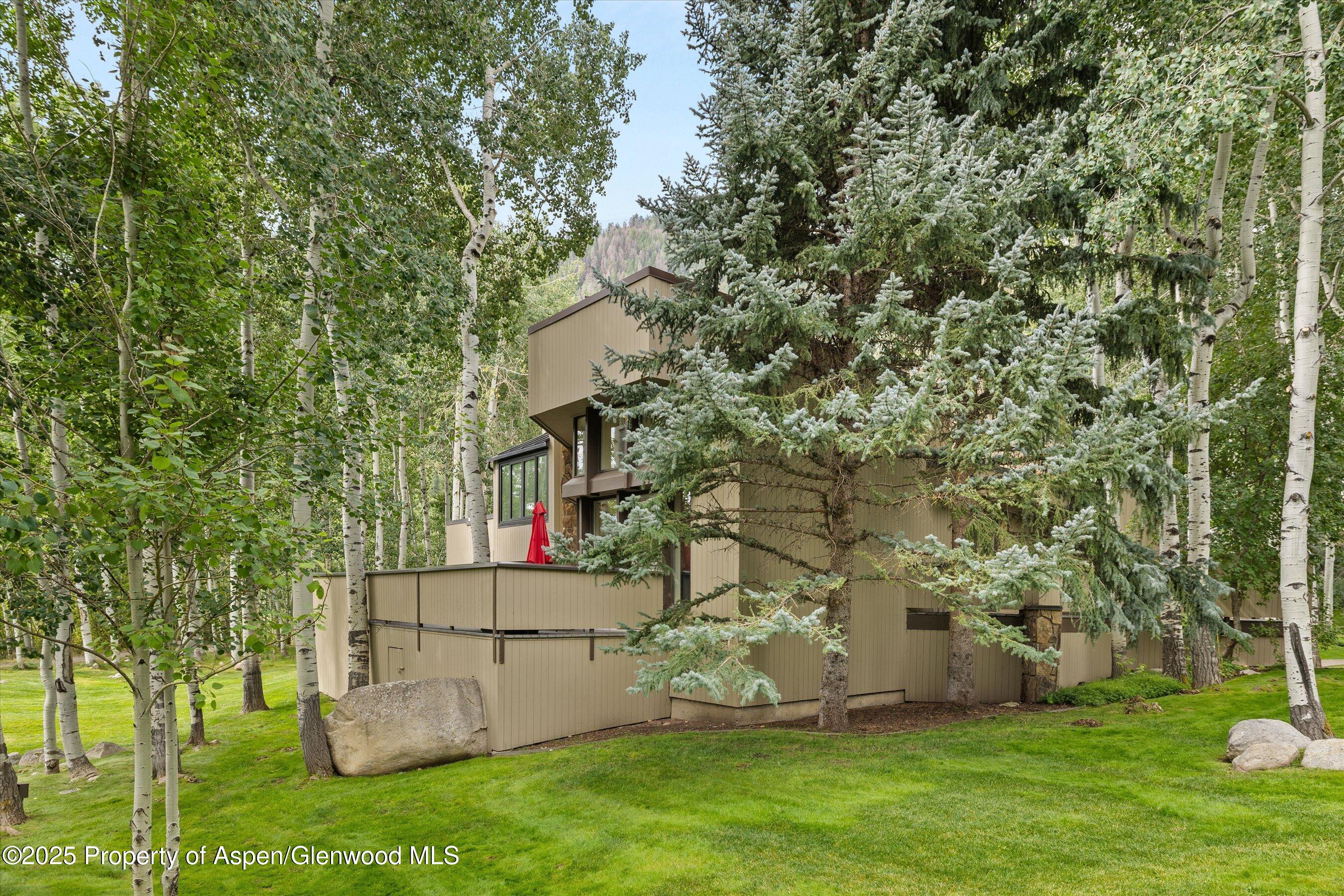 1443 Crystal Lake Road, Unit 3E Aspen, CO 81611 - Photo 34 of 34 a garden view