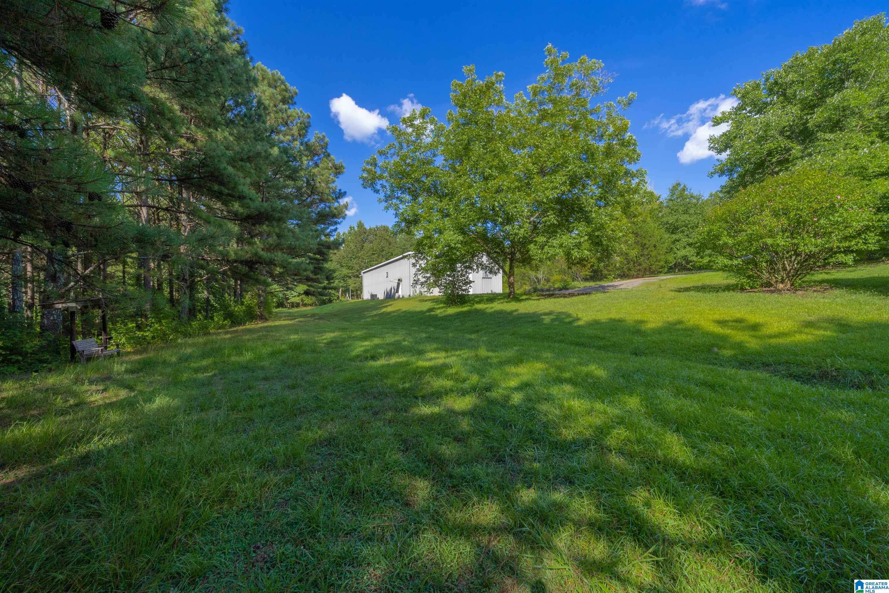 1031 Reneau Road Oneonta, AL 35121 - Photo 44 of 50