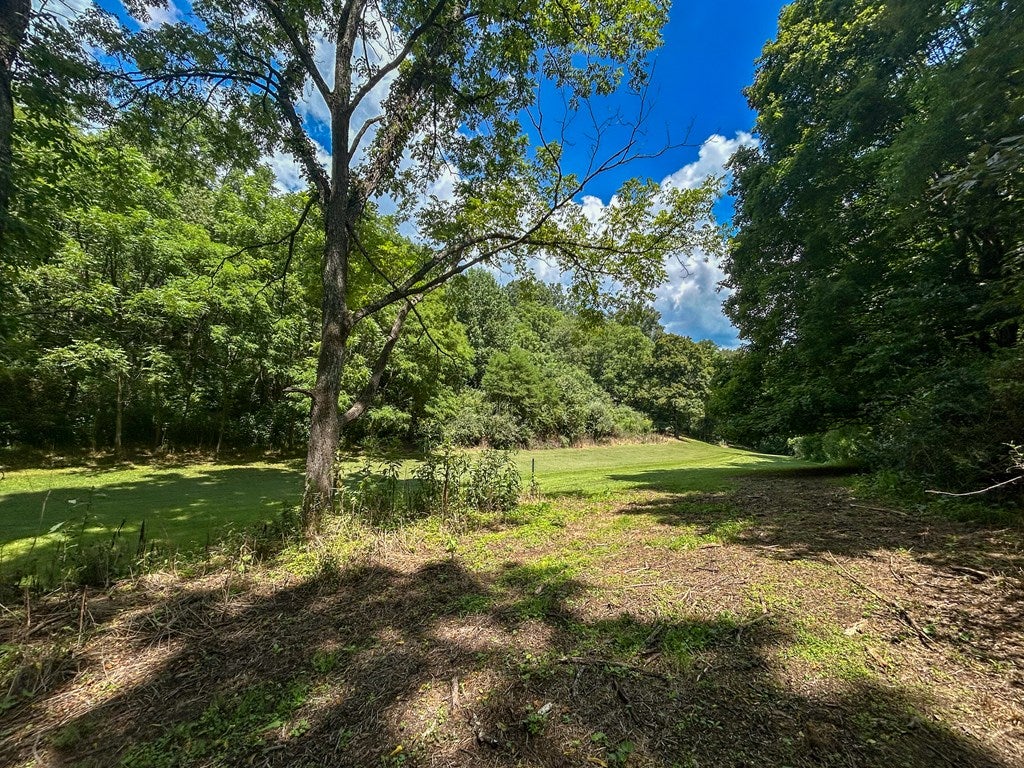 26-acres Tobler Road Rural Retreat, VA 24368 - Photo 37 of 60 Gallery Image 37