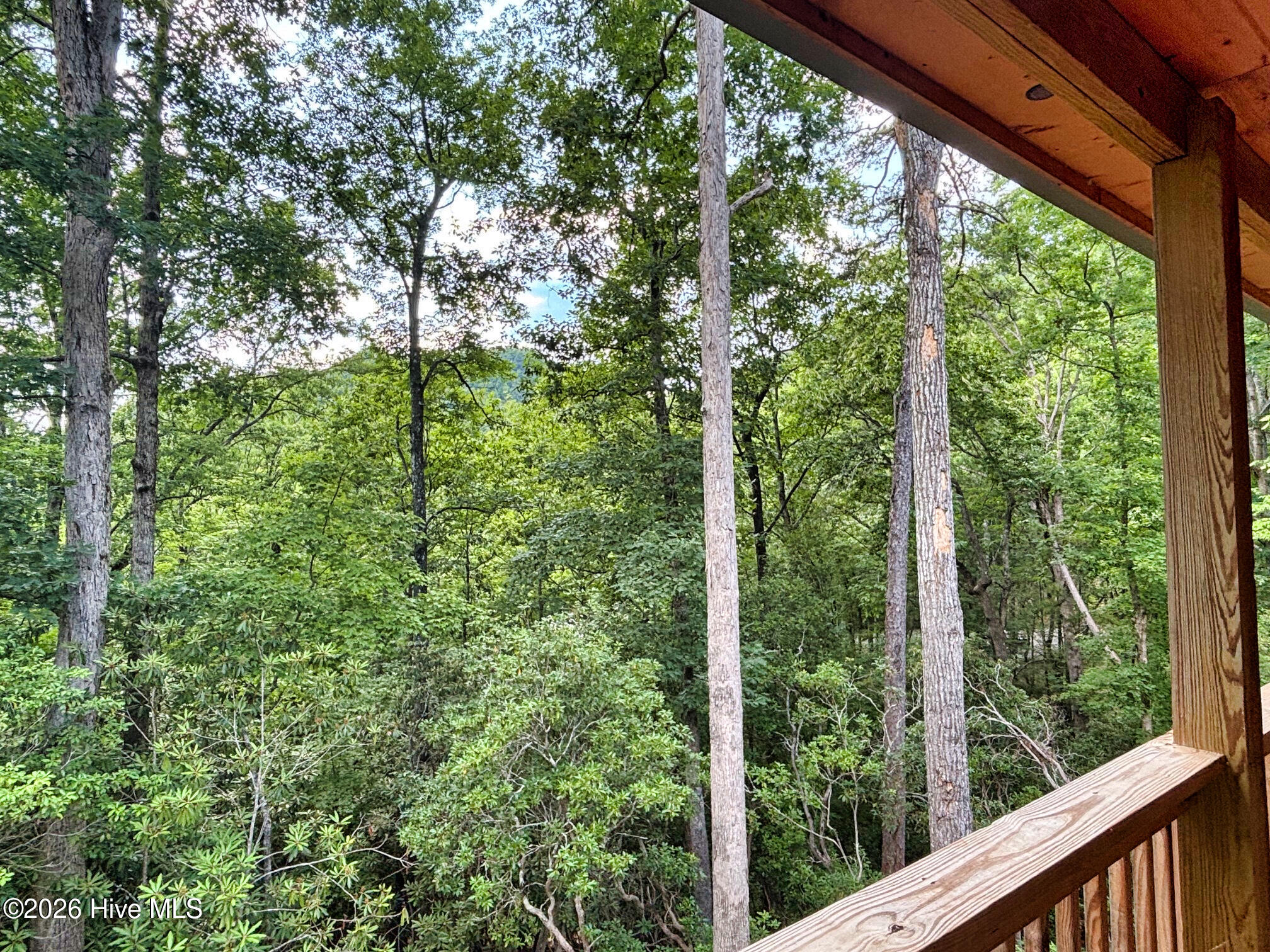 325 Dawsons Lane Murphy, NC 28906 - Photo 32 of 33