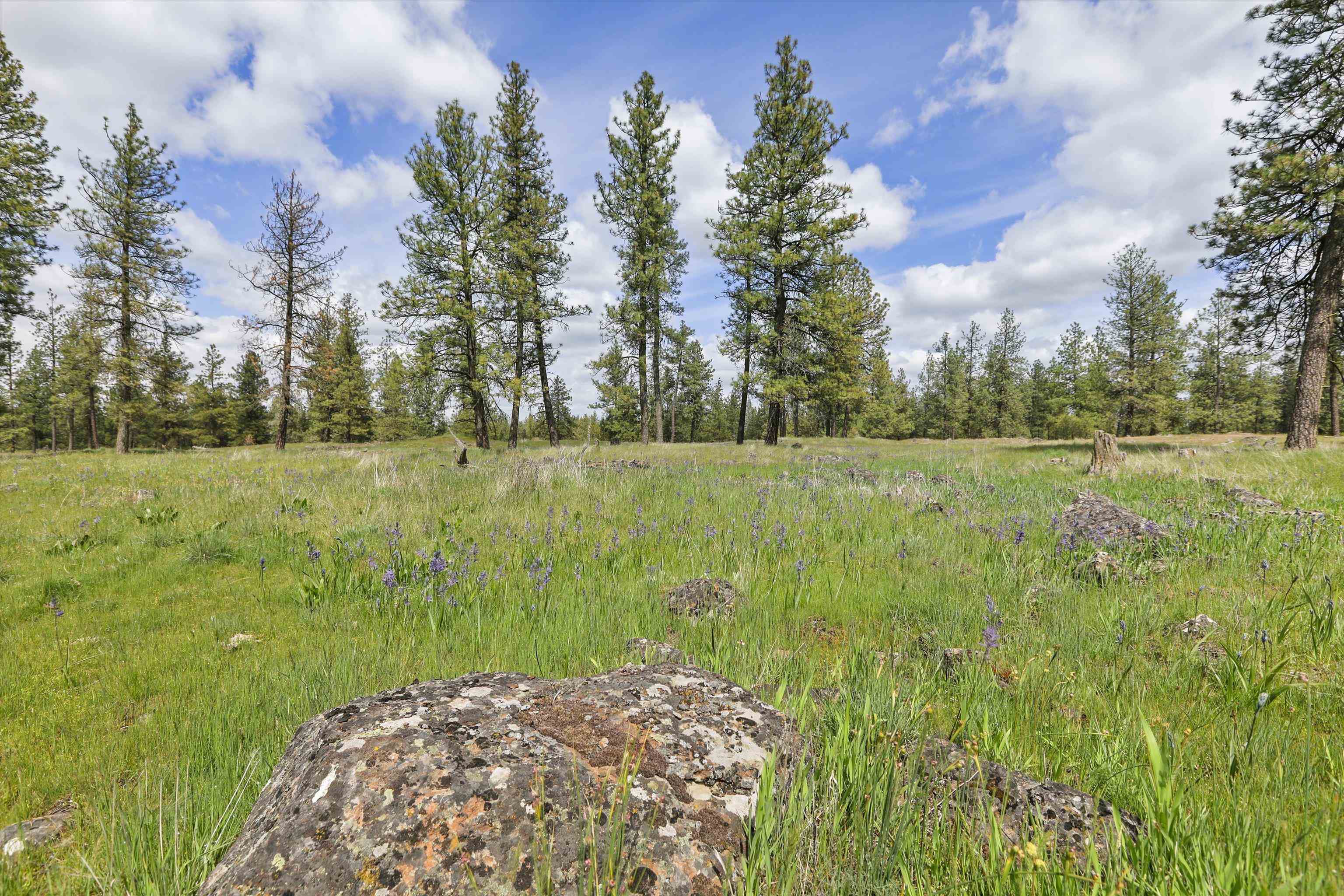 Nka South Malloy Prairie Road, Unit PARCEL D 03032 9051 Cheney, WA 99004 - Photo 5 of 8