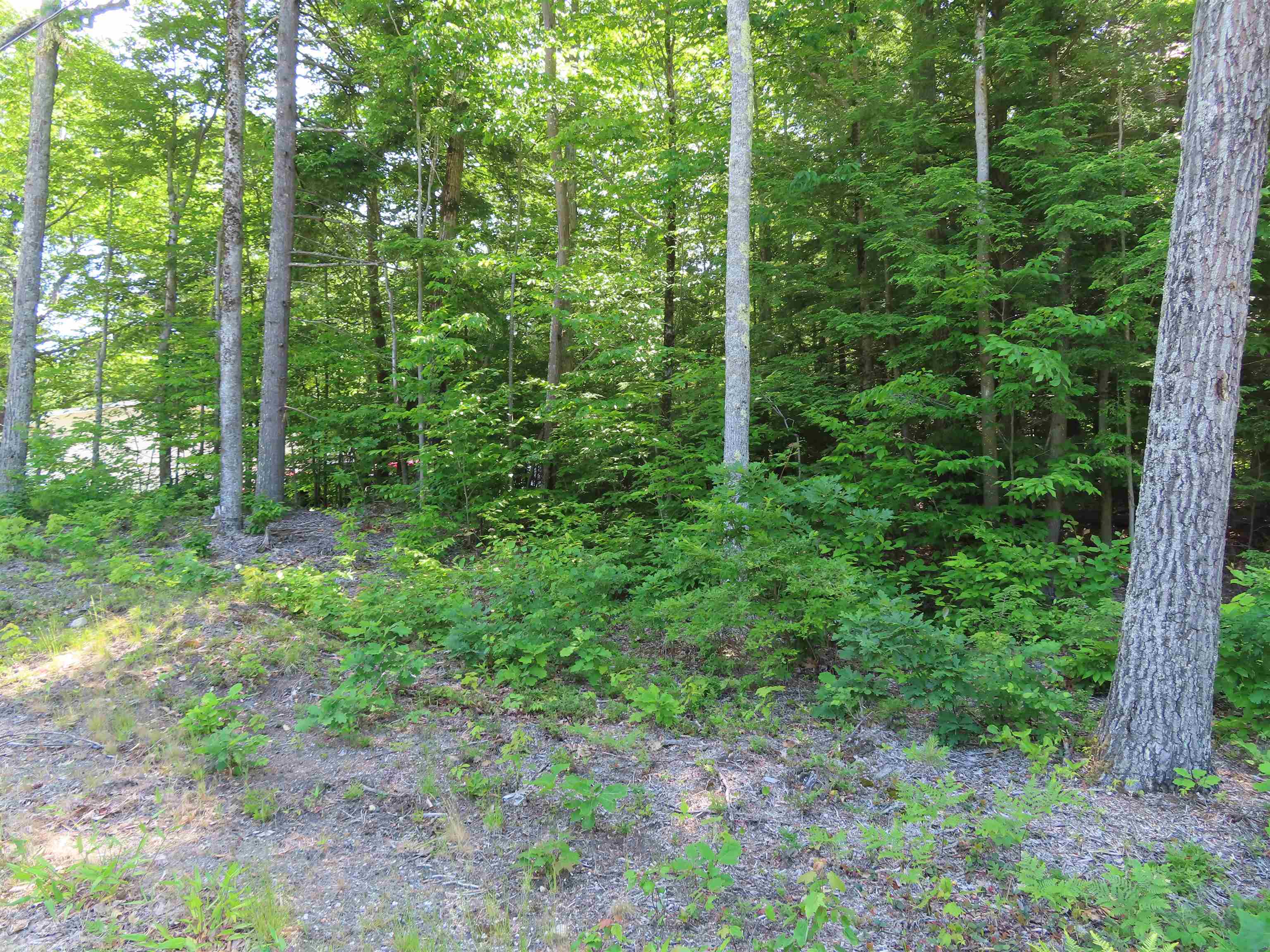 Lot 192 Suncook Valley Road Center Barnstead, NH 03225 - Photo 1 of 10