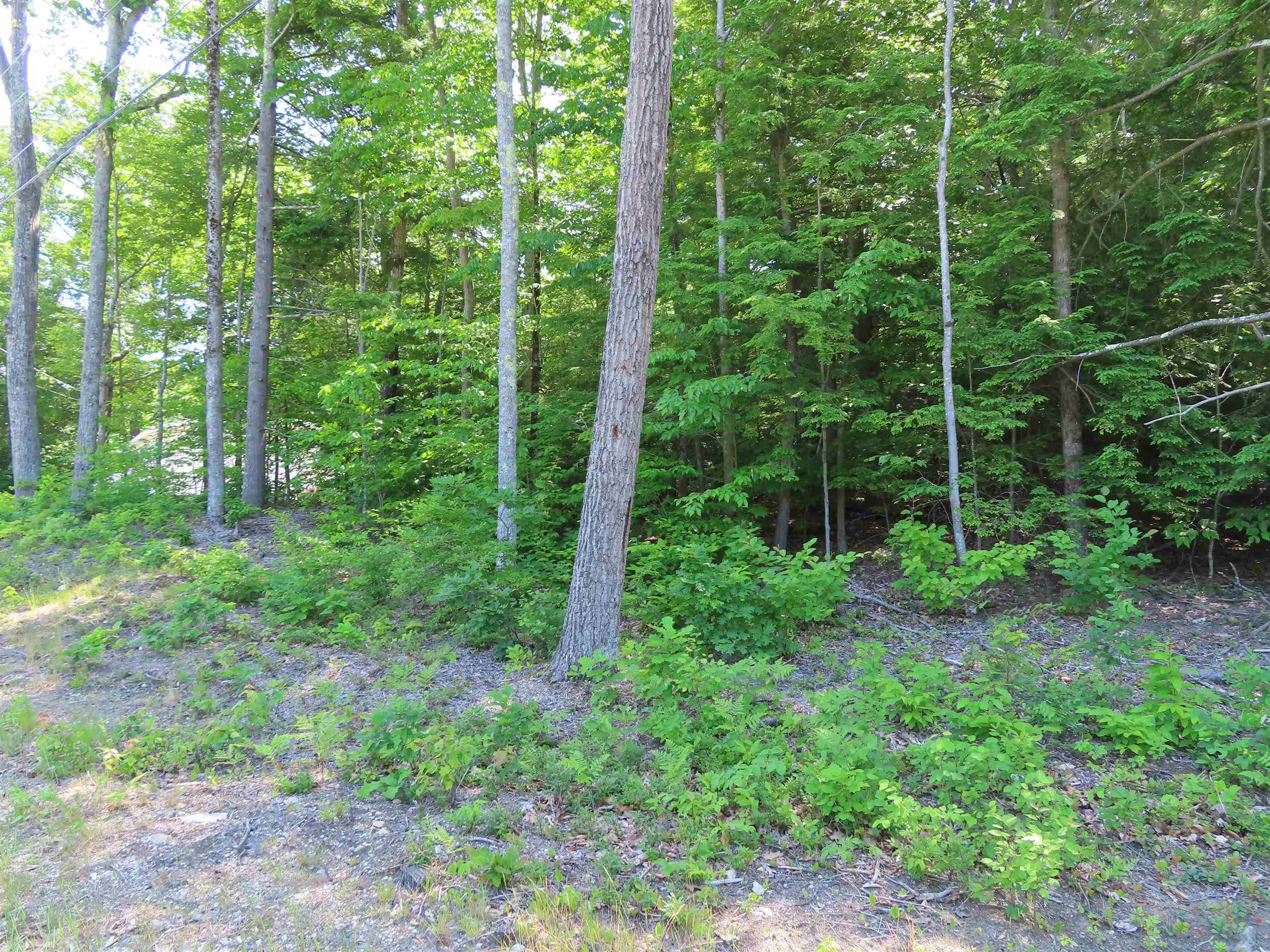 Lot 192 Suncook Valley Road Center Barnstead, NH 03225 - Photo 2 of 10