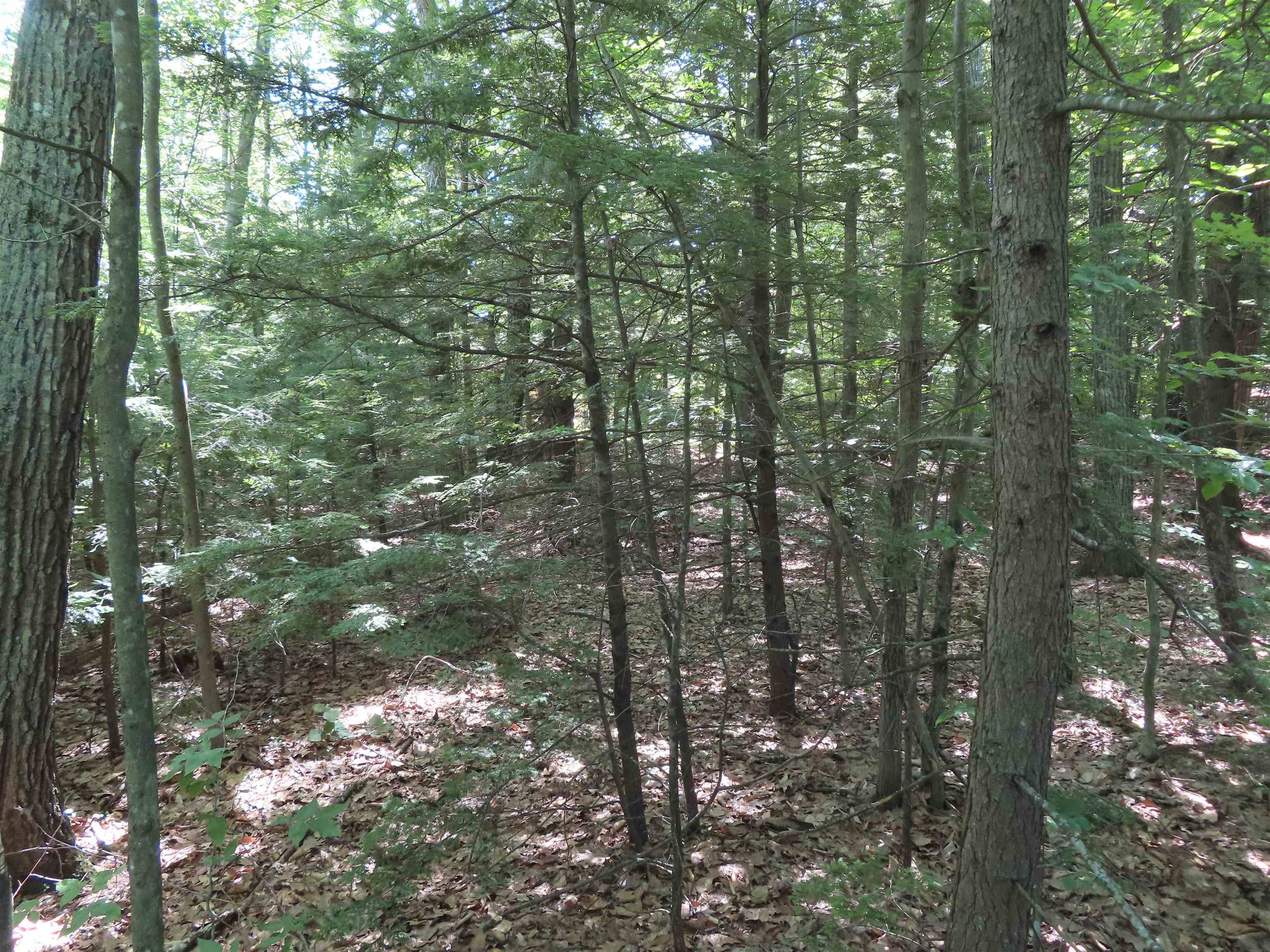 Lot 192 Suncook Valley Road Center Barnstead, NH 03225 - Photo 6 of 10