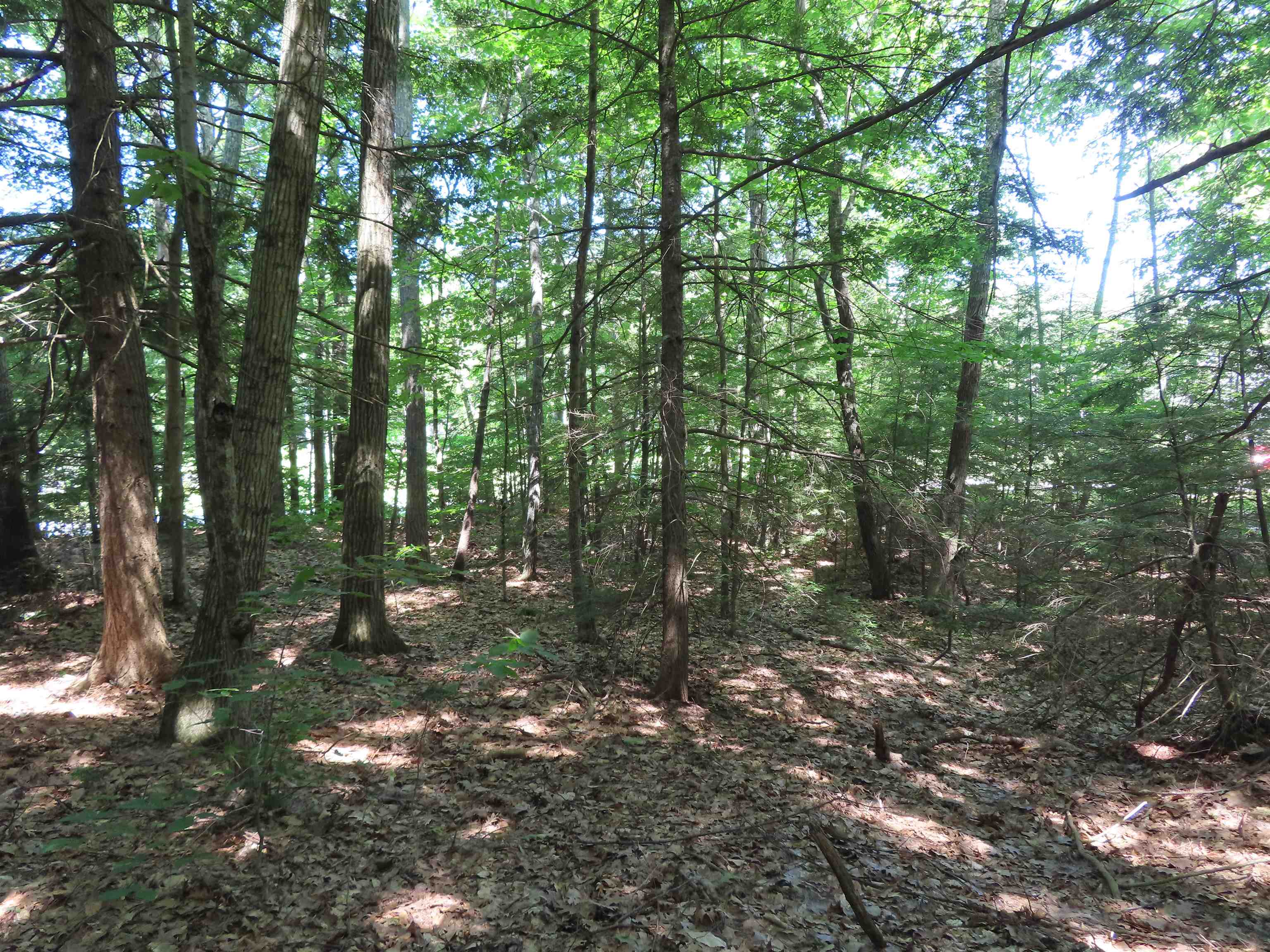 Lot 192 Suncook Valley Road Center Barnstead, NH 03225 - Photo 7 of 10
