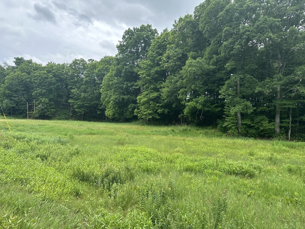 0 North Leverett Road Montague, MA 01351 - Photo 4 of 10