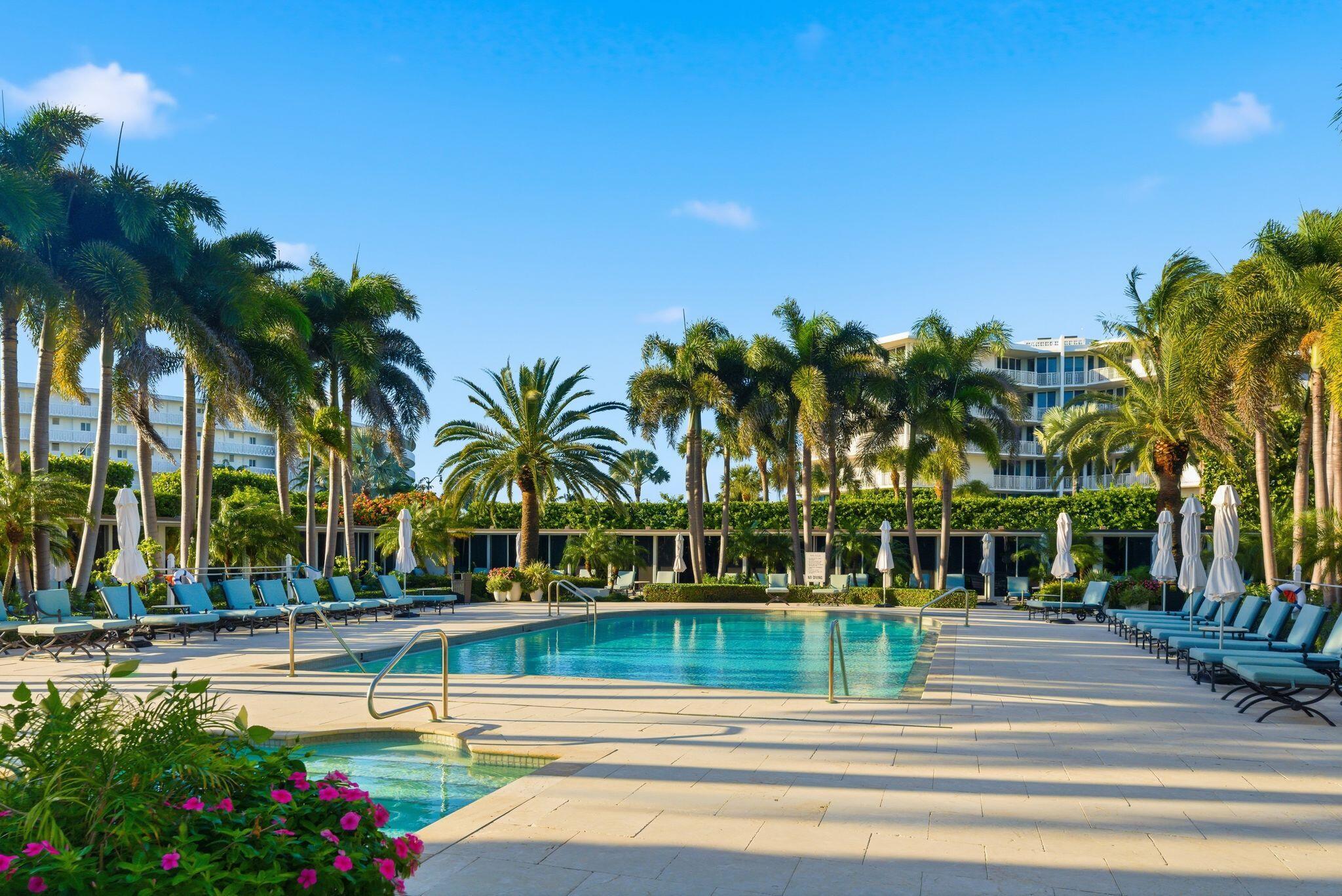 a view of swimming pool with palm trees